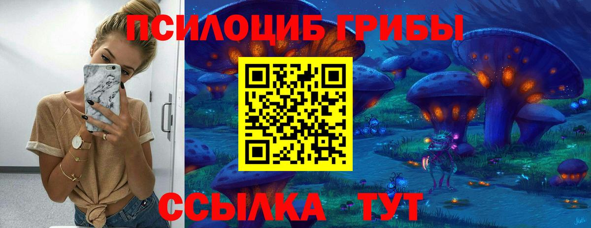 Обнинск  Галлюциногенные грибы прущие грибы  где купить наркотик  Вход с VPN 